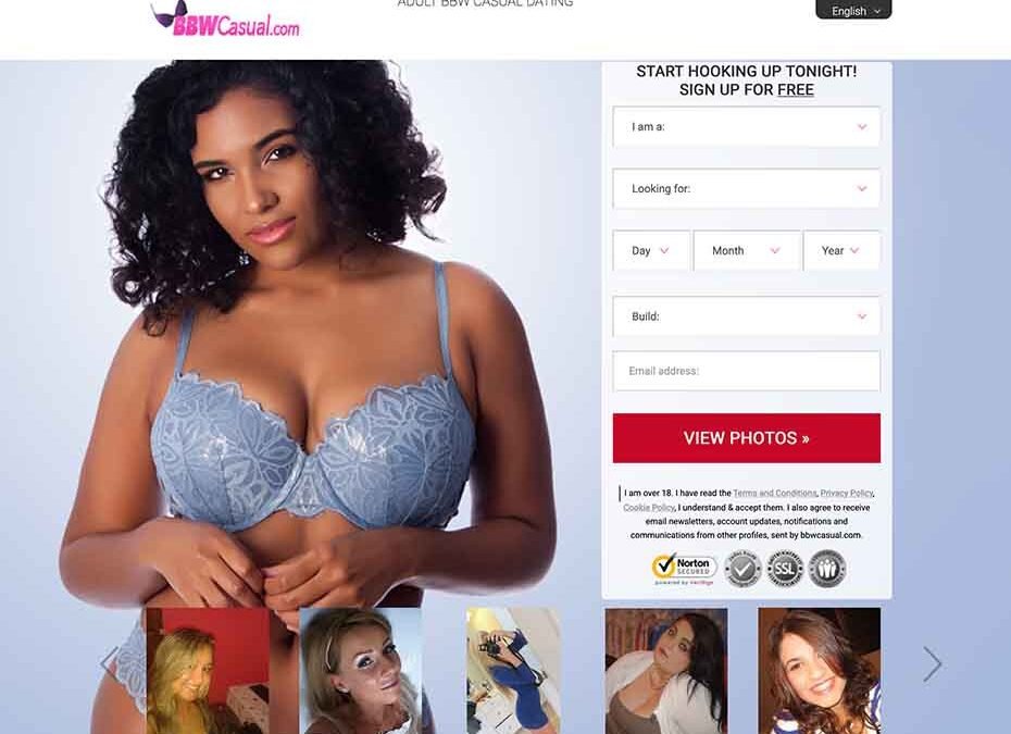 Do you wish to meet a beautiful BBW single? Try This Site